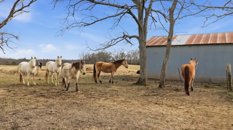 38_7c5889c5-7bd5-4d4e-bae0-b72f05fd5cfe