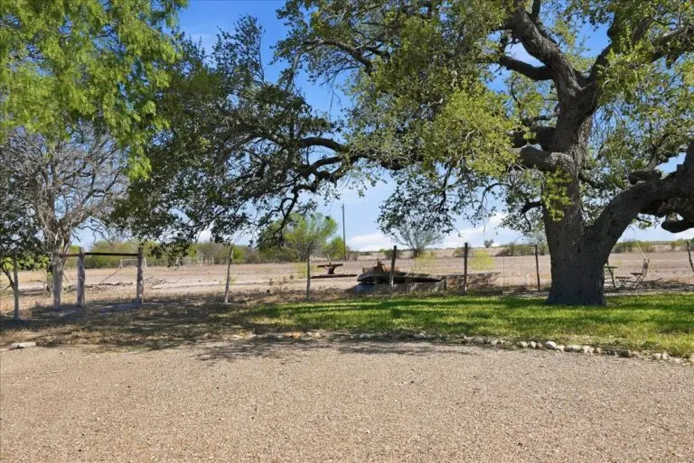 38_e2f90355-47d7-4fb6-a963-dffcccc23300