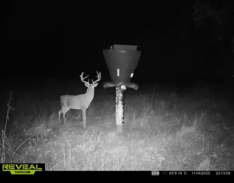 39_7a219b5c-9d03-4499-bd40-1080611e4cbb