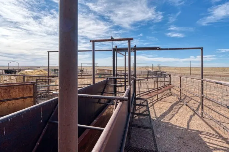 39_caaa470c-2a5a-4603-b2ef-7fd7b252cb42