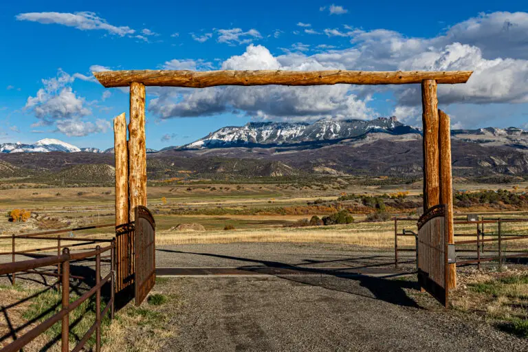 40_331cdb0c-4145-494e-9e02-30fc3c4b3599