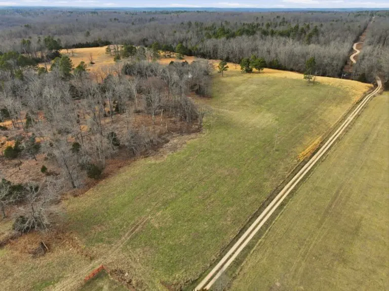 40_33ff8a3e-e384-4097-af86-1d9489649348