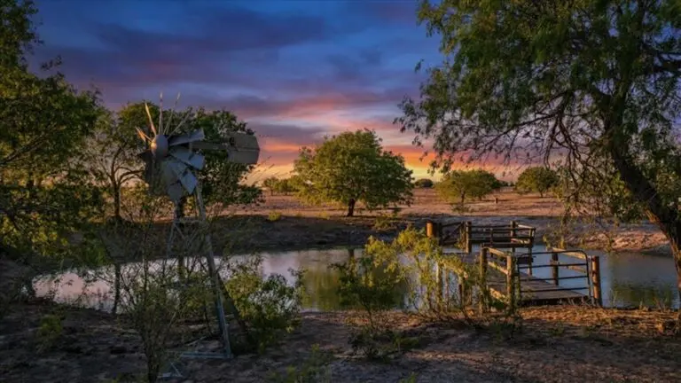 40_70c361bc-681f-4a11-9083-4ceb9ae65246