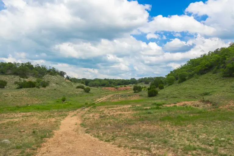 41_e99ec845-33b6-48cb-aaed-fcfa02087958