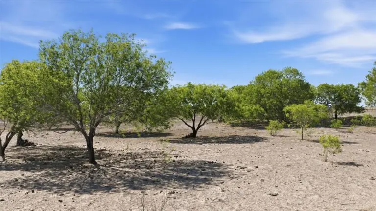 42_88449b14-5332-4d51-a350-8571da3a9400