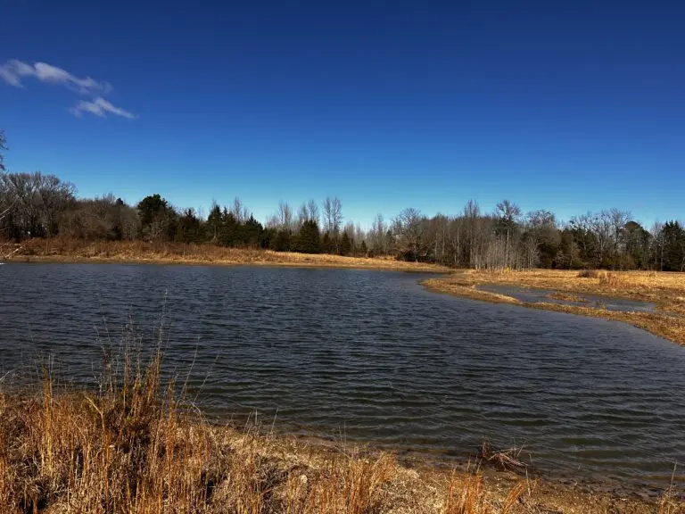 42_9adbffda-3020-4048-959b-850fcc5c7dd7