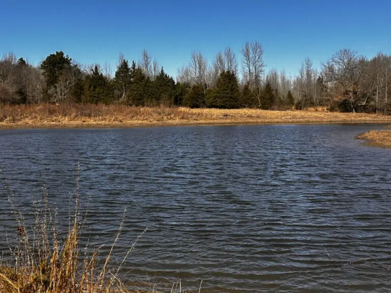 43_27727e2b-71e1-4443-8775-fc647fe82fa8