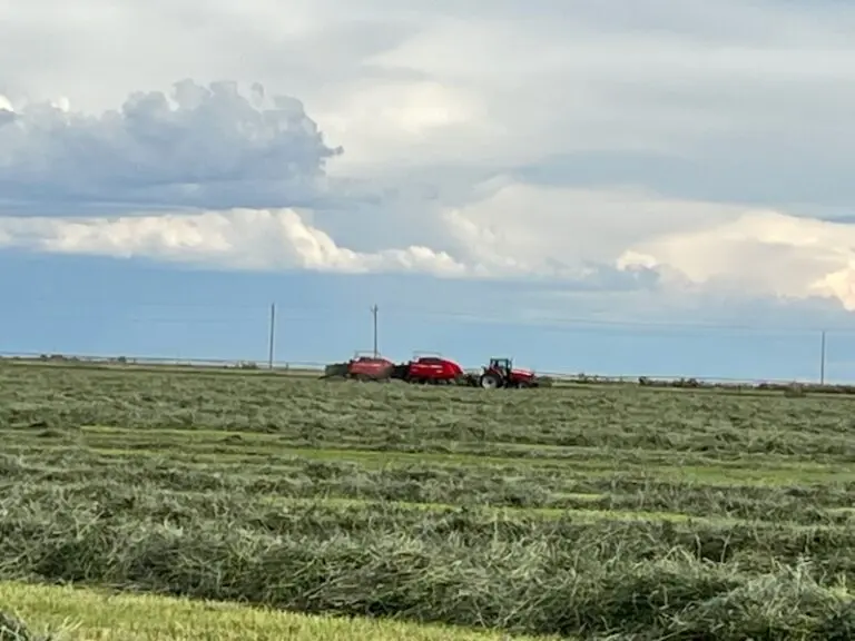 Colorado Cattle Ranch for Sale