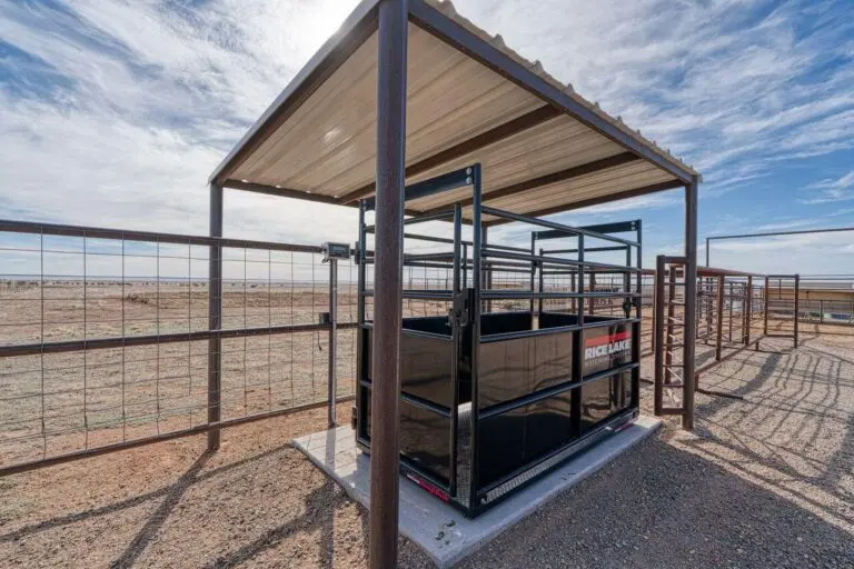 43_a454f9b1-041f-43b2-9f63-813b8d1b38ec