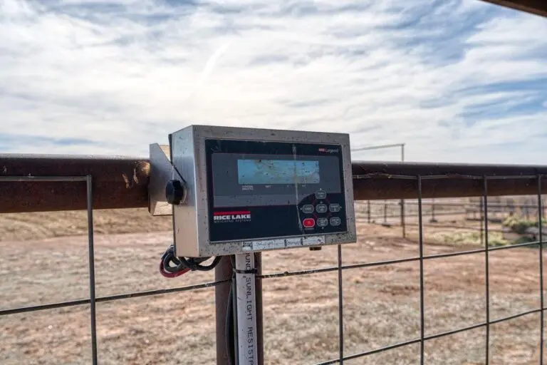 44_d4dec65c-6502-43b8-9c37-0c79fc9d7e91