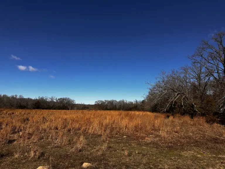 44_f04cb20b-1ac8-4856-b9a9-2fd8b34c1dc1