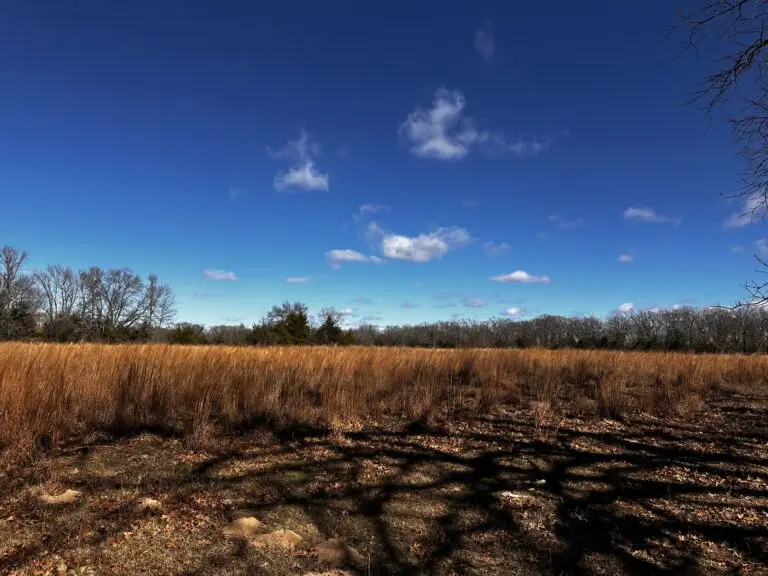 45_515168b4-e29c-4135-adcc-79f770f43c96