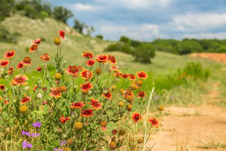 46_afd11dd7-b5c2-404c-8bf6-53f0a30b9300