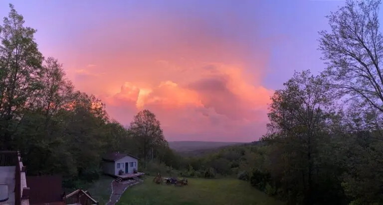 47_44cef034-727f-4524-8873-50a2b47b5cdd