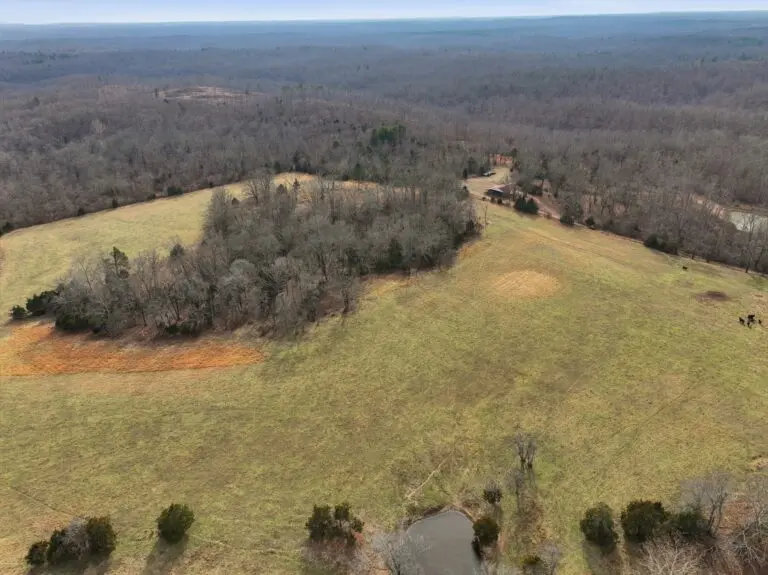 47_6f47a2b2-1eb1-483b-92e7-d74ef82d8c3b