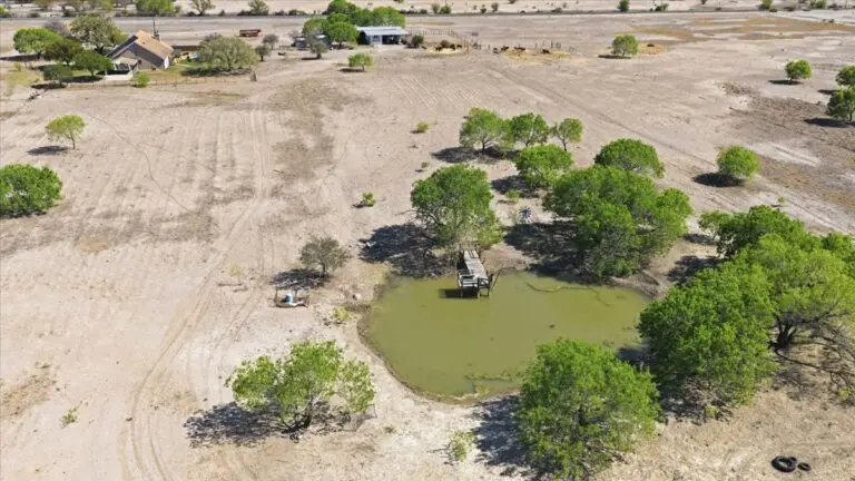 49_70c24835-bc4b-4105-a2c9-a4d35bfa46ec