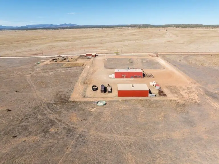 50_0d9ac7ac-57e9-4e96-b027-af3fdd975e54