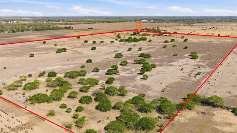 50_f336d679-1899-48e6-804f-a6951e0529d6