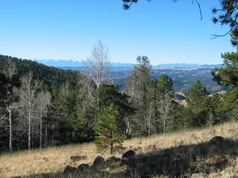 02_4a8fd8f1-c909-4ae0-b29d-a8a138ebe25c