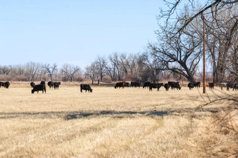 02_9c8925f0-9923-4adf-a6df-48e10dc1f36b