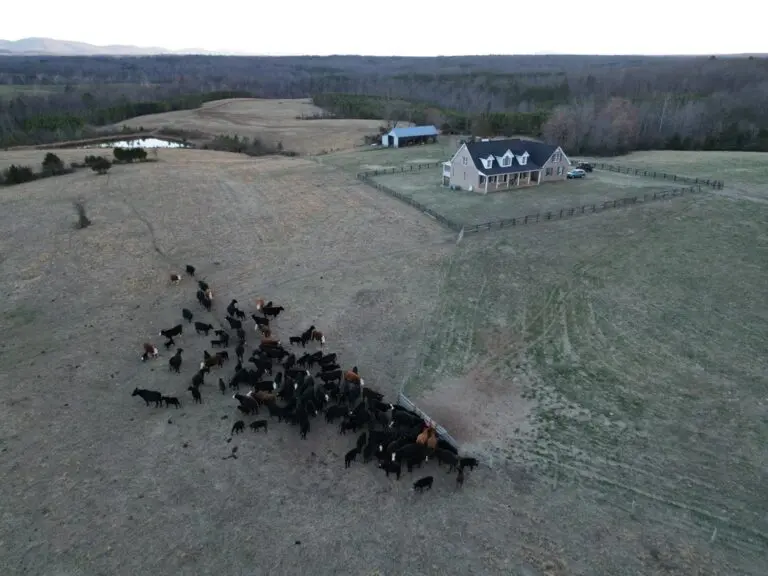 02_ac225d39-aa71-49e9-a52d-3fe3ec99bf2d