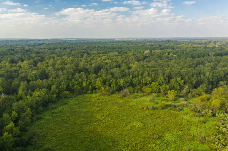 03_91224e36-83cb-45c4-955b-82c1cfa2aa91