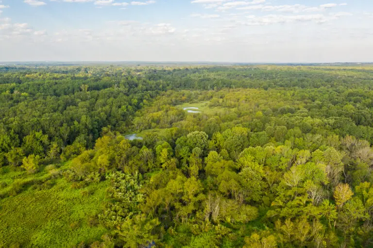 04_006b964e-7fc4-4970-8555-e71fd71a0d92