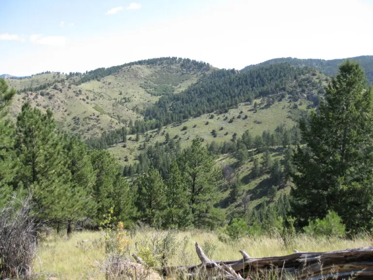 04_2bc77836-8807-4f60-a390-4314097c6e70