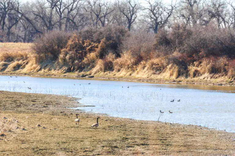 04_57f5fae5-1062-47ed-95f0-ac8546708980