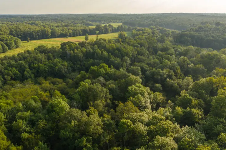 05_541c5c9c-d665-456f-a962-f454d6e611d7