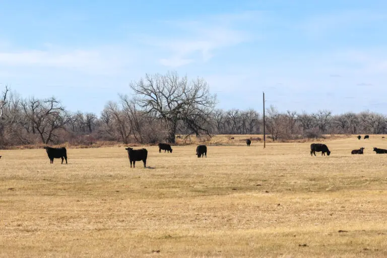 05_7e37e22e-9b50-4cb2-8ee6-e457e164108d