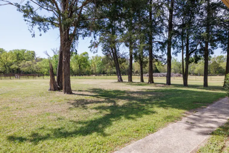 05_9a1ed410-0b22-450c-8b61-1039a1b6f4dc