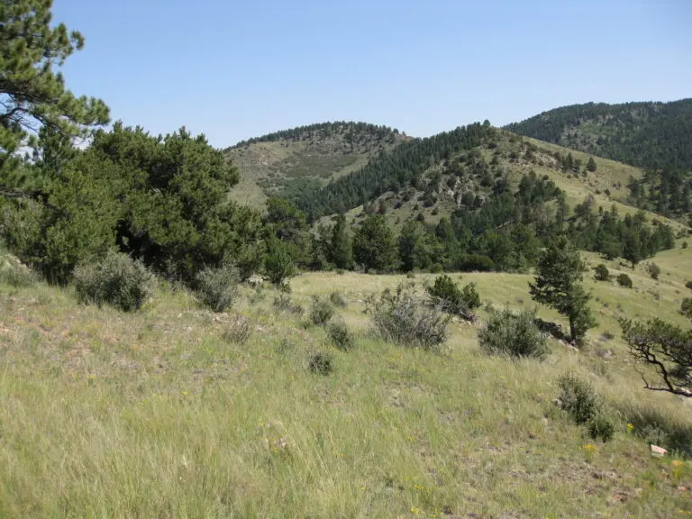 05_d662c443-73ee-4e6a-a50a-9b64ae29c8db