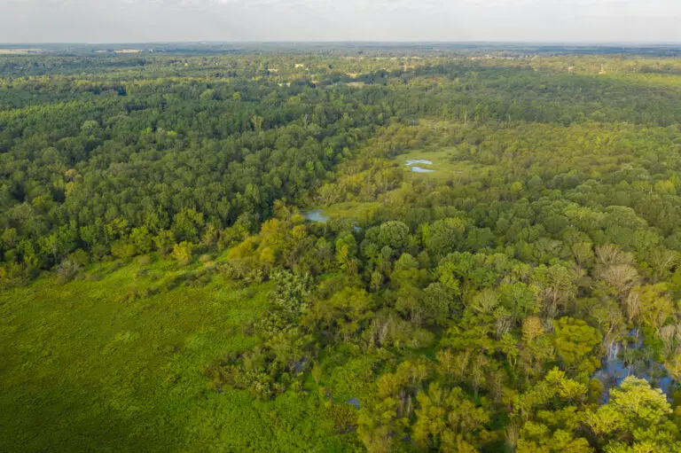 06_7cc92bd0-057f-4db7-a36f-4a7cc21ab026