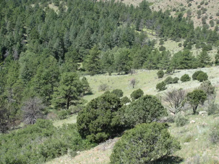 07_e7d18a69-082a-4371-85c6-4828d1b42c6d