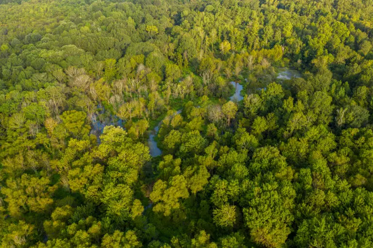 07_fd4dff26-ca56-44e2-a648-95173b2464cf