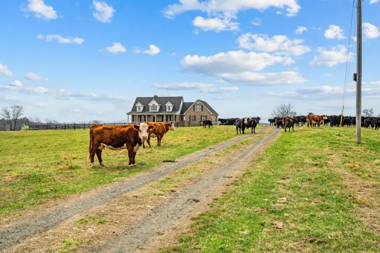 08_0a77022b-0583-43a3-a591-5c4784095f27