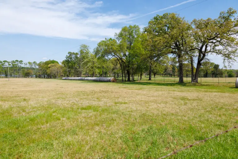 08_566adfce-19b2-4b73-b58e-64a33dc3d85c