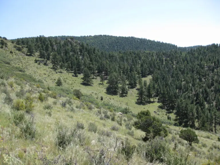 08_73dcce39-e32d-414f-a062-a7ebcb58261f