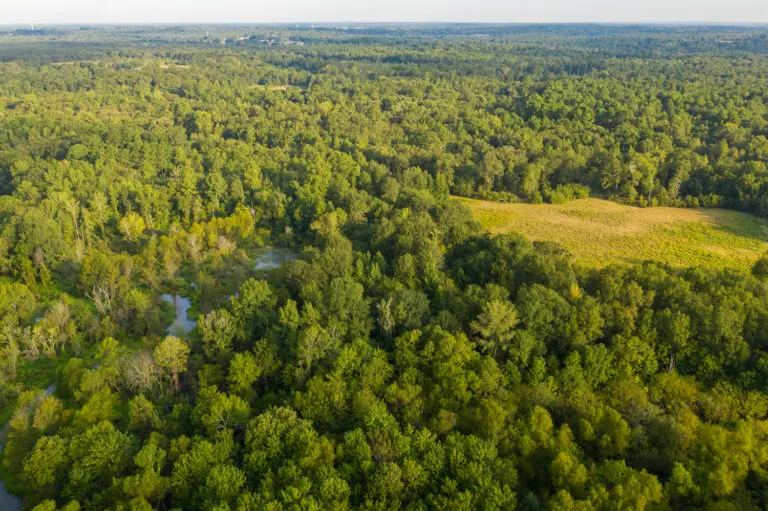 08_d8d76c60-63da-4615-87a4-b35bb0f4e298