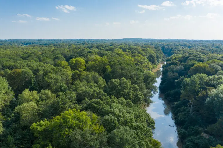 09_1807f36d-914a-4b82-af27-4e559e3e98d1