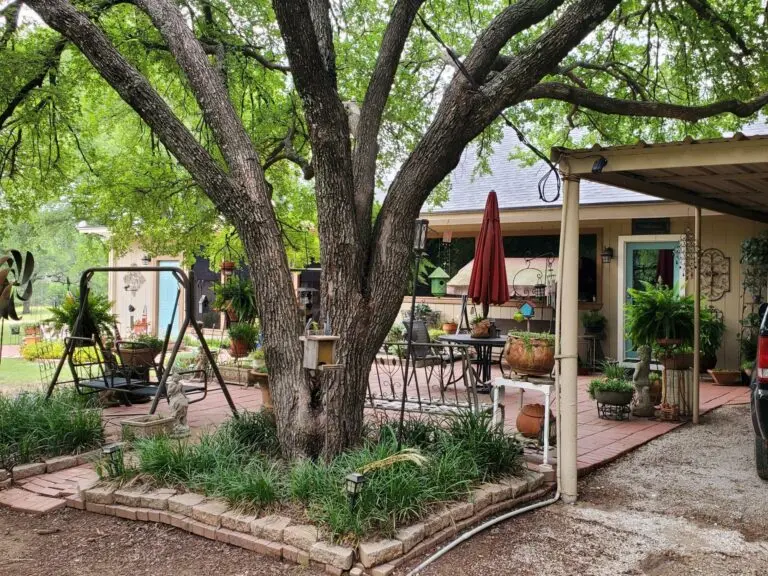 09_62c8cad5-a6f4-4c63-b939-276b423a7dc9