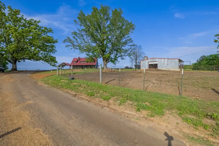 09_92894559-14a2-4fcd-b624-f982a4f09b06