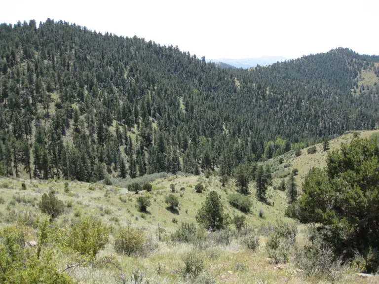 09_a7c0ff85-0cb6-46cb-b720-f92e1e1d446e