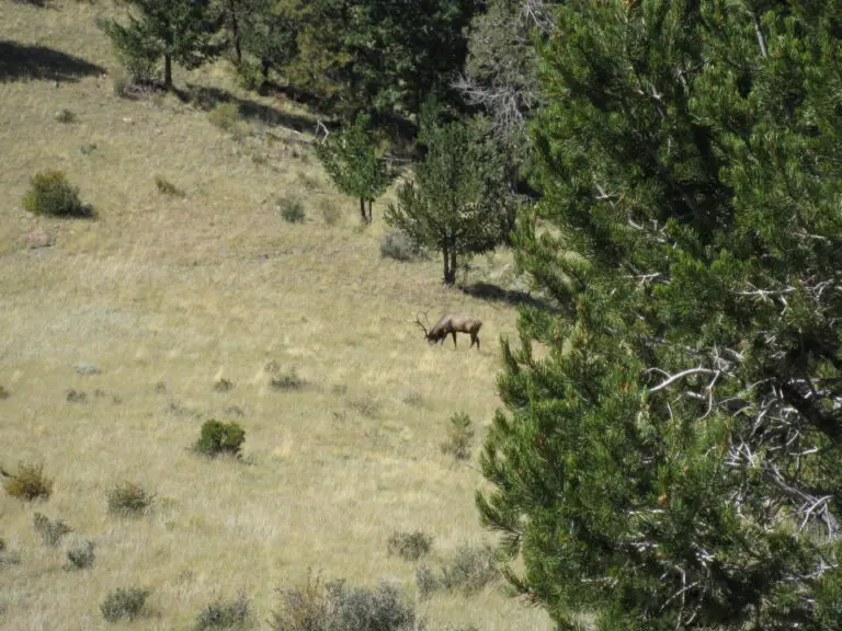 10_25078d22-4899-48e4-b97c-b7da09563b68