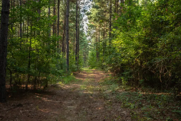 11_34bc3d47-f7db-4015-94f5-e1f1c8388af9