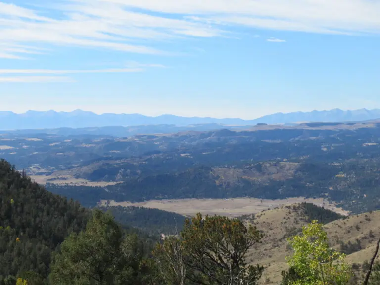 11_5350c440-e713-4b96-98fe-45306dceca53