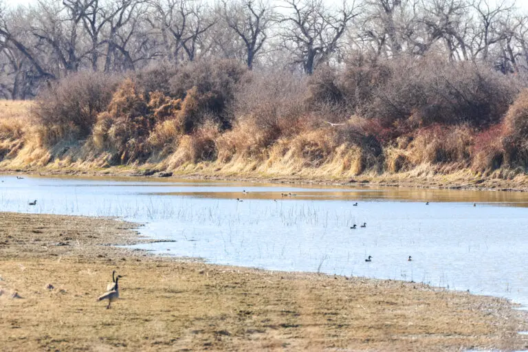 11_f6090772-7687-42f2-b224-ef0d51c41f83