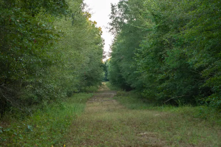 12_2be2fe3f-ecbb-4cea-8e86-96ef97a5887d