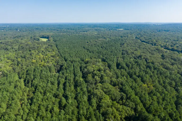 13_32c27bdc-fbff-4414-8a8f-8ed27577485a